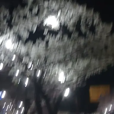 Profile image of 늑대