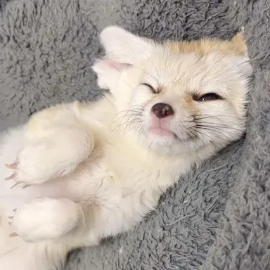 Profile image of 서유