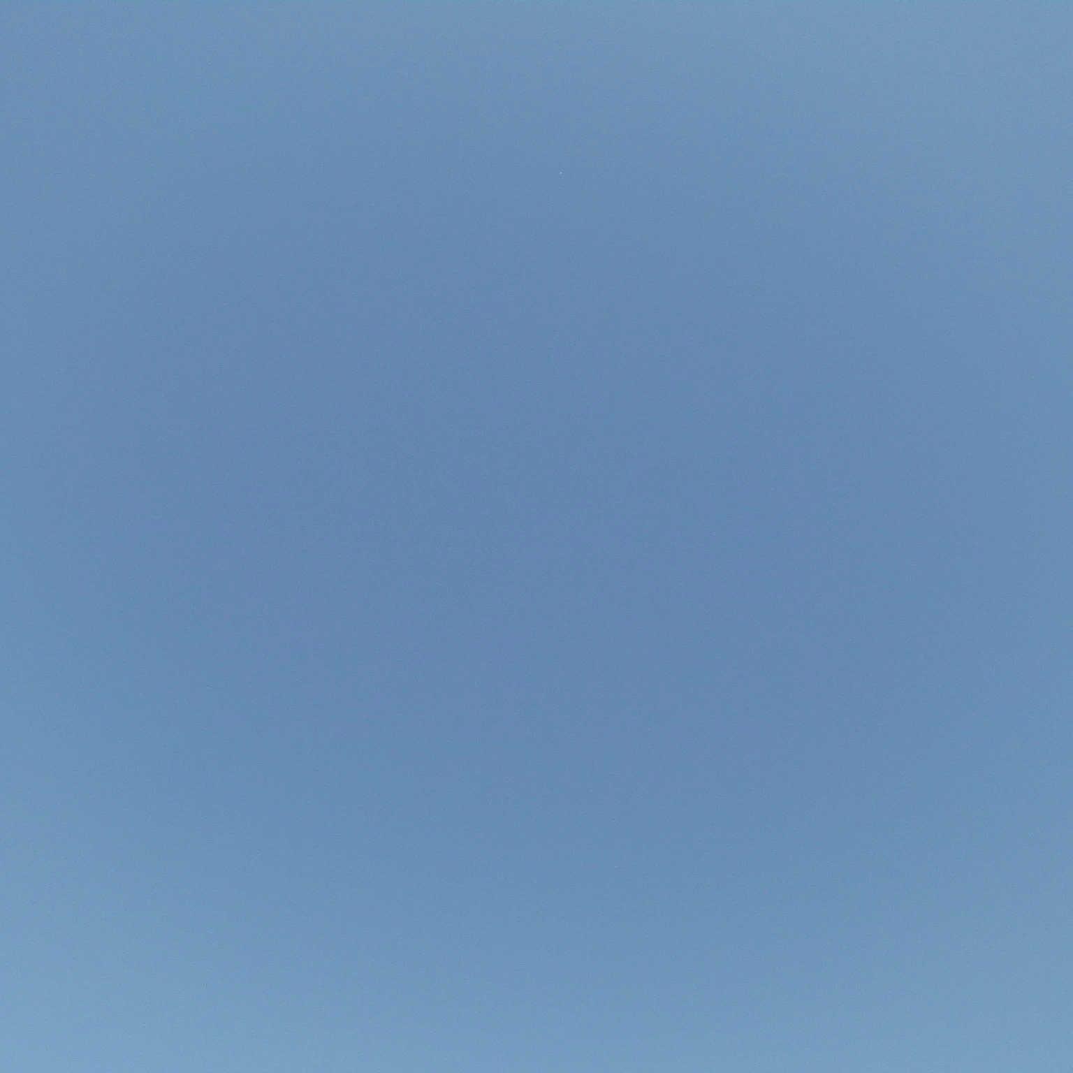 パリタ