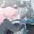 타카나시 호시노