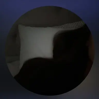 Profile image of Ayda