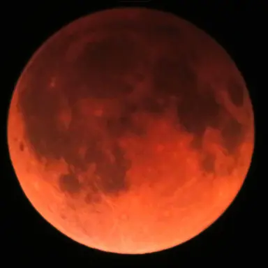 Profile image of 블러드문