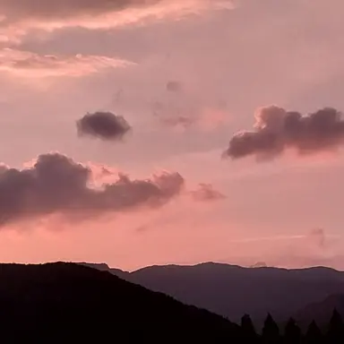 Profile image of 이세계 아이돌