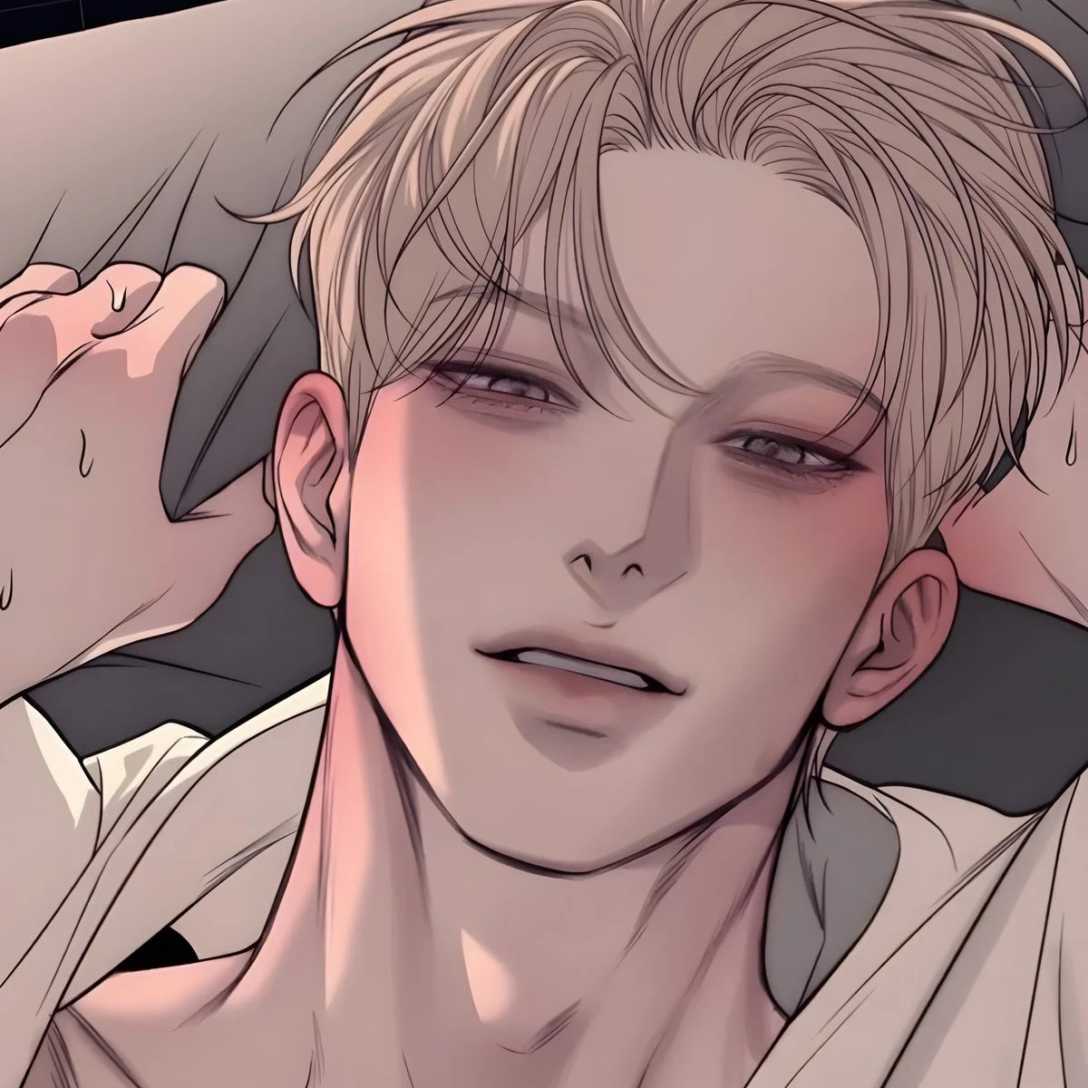 백도현