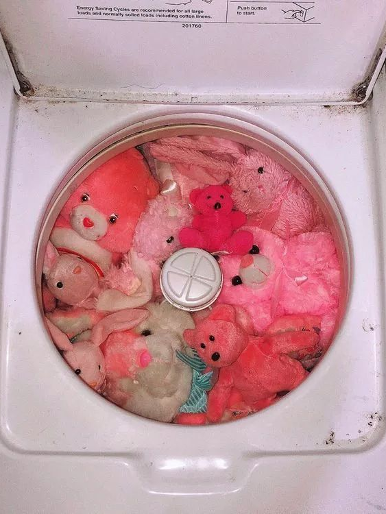 ㅤ 대표 이미지