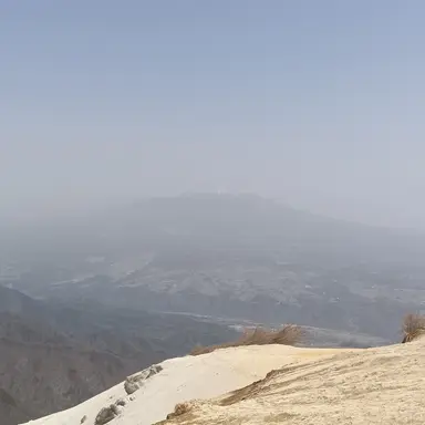 Profile image of のはらリン