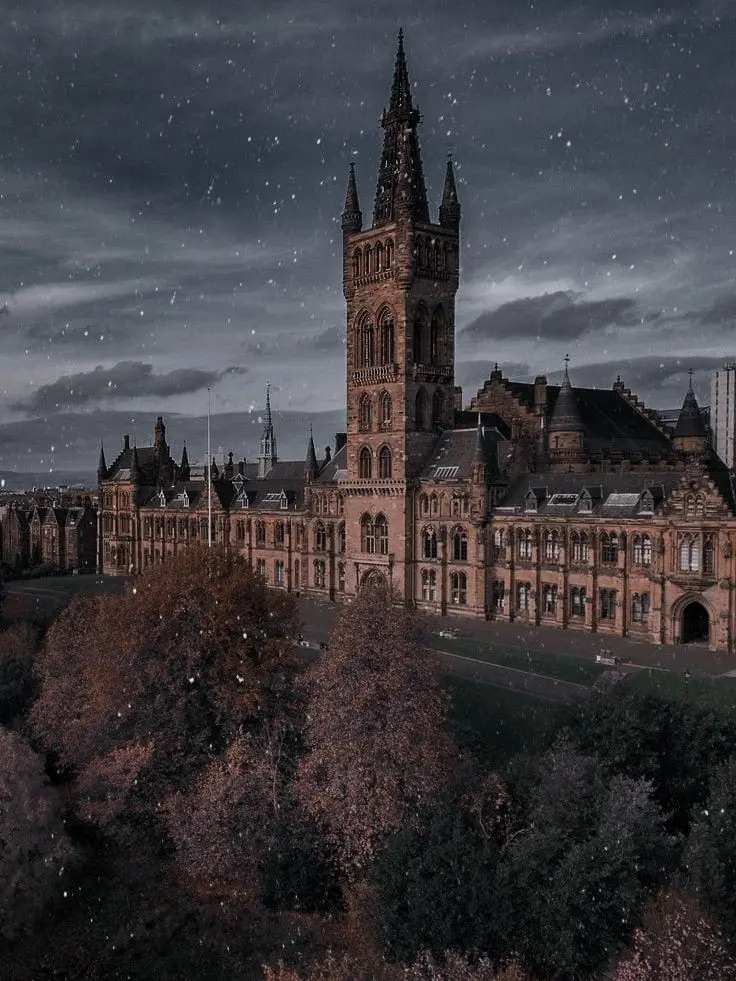 RobustIndri2350의 ✨Zodiac Academy✨