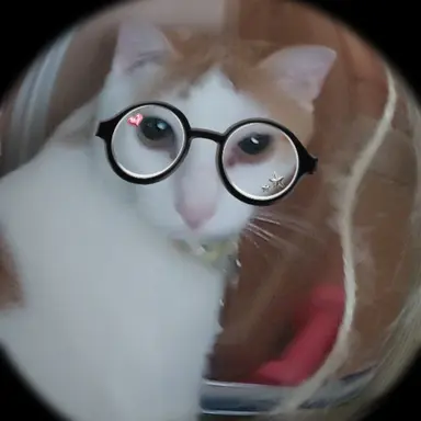 Profile image of 뜰팁 인스타 틱톡