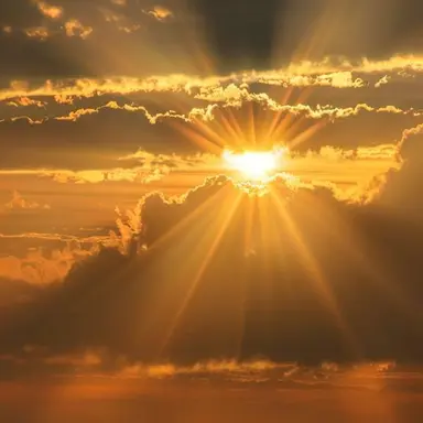 Profile image of 김각별