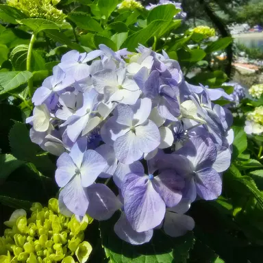 Profile image of 모찌엘