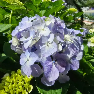 Profile image of 아름