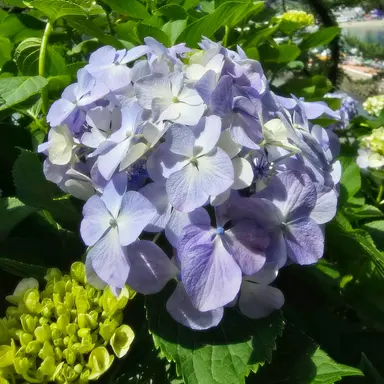 Profile image of 모양몬