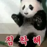 Profile image of 판다