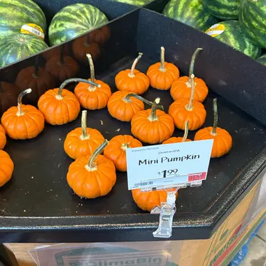 Profile image of 유지민