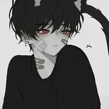 GaudyPixel6642의 Kaito