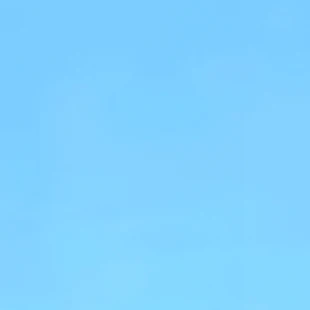 김운햑