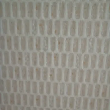 Profile image of 김동희