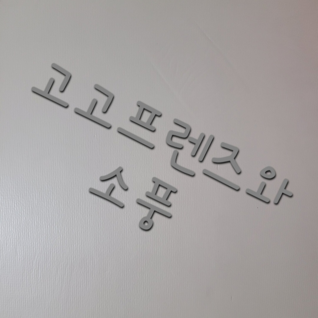 고고프렌즈와 소풍 대표 이미지
