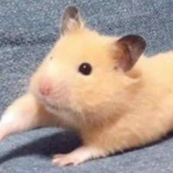 유인