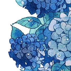 Profile image of Rion