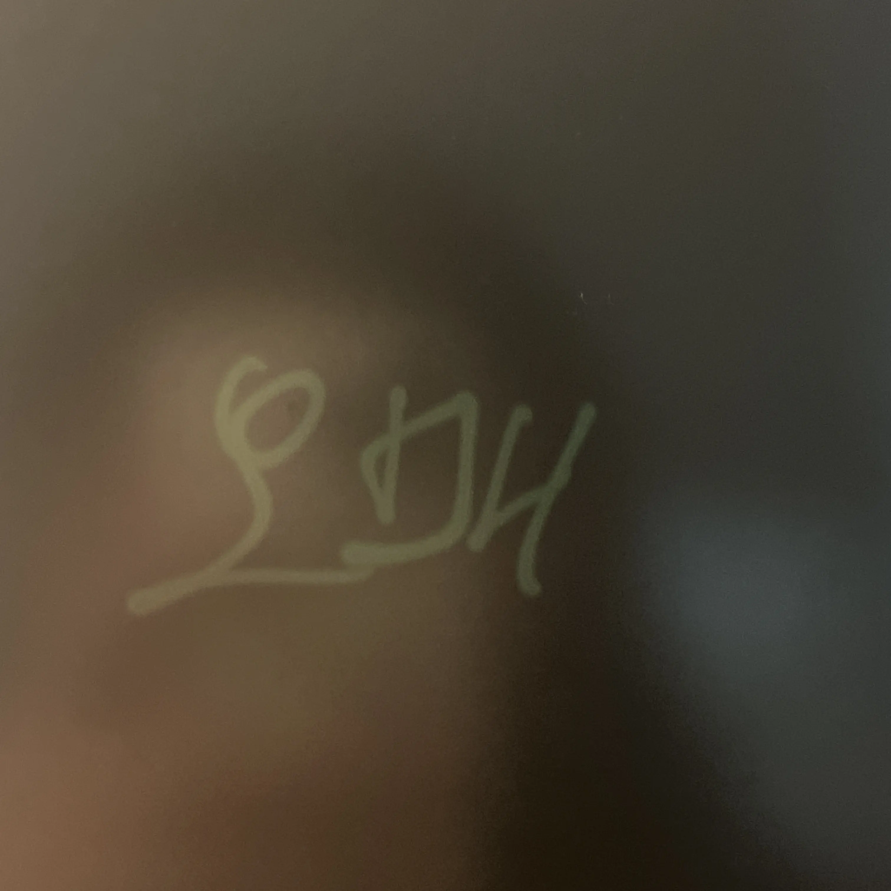 UNl.T_0911의 픽셀리 조직