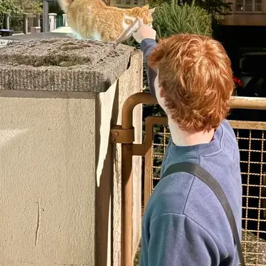 Profile image of George Weasley