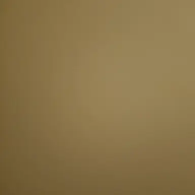 Profile image of 우찬