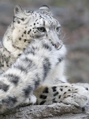 DDDDDDDDDDDDDDDDD8822의 Low🩺