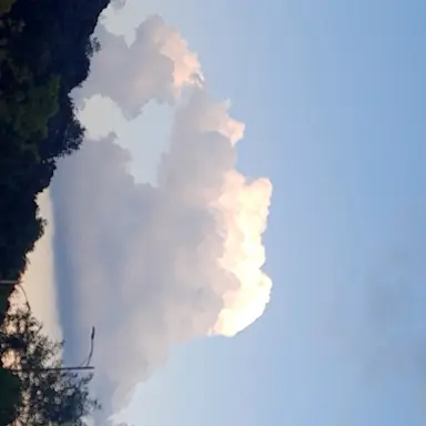 Profile image of 유저님의 급오줌..