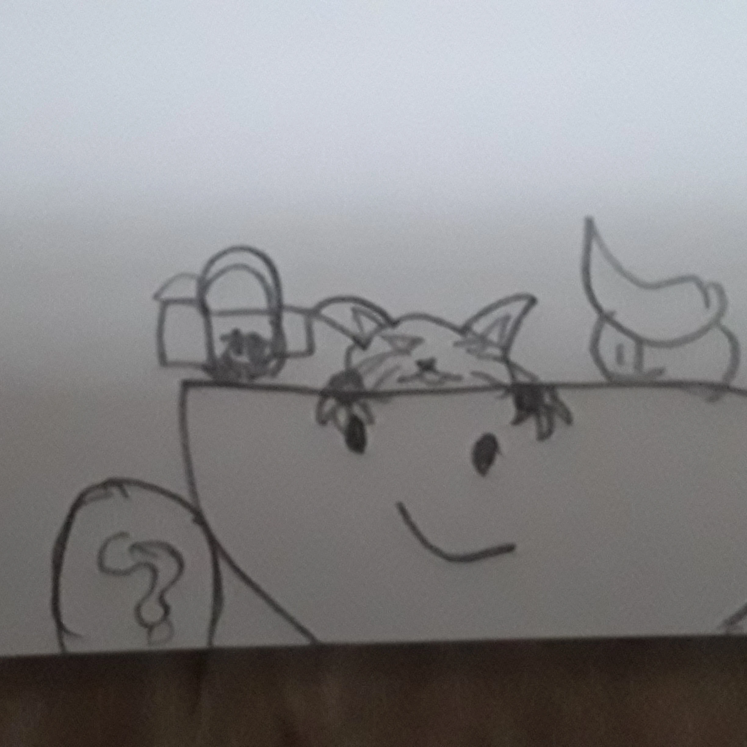 게임하는 단무g