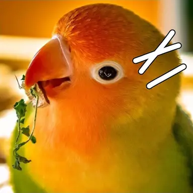 Profile image of 쿠라