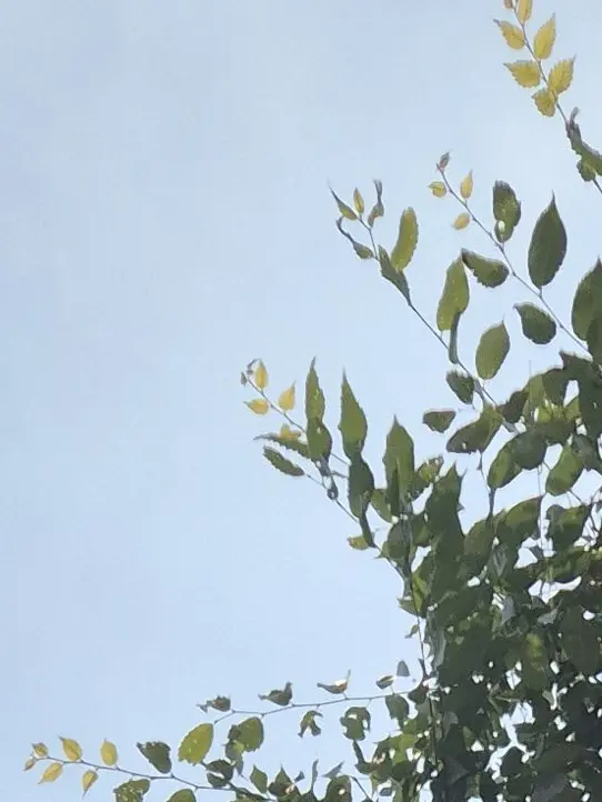 0107936의 UA