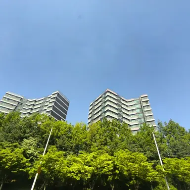 Profile image of 준브
