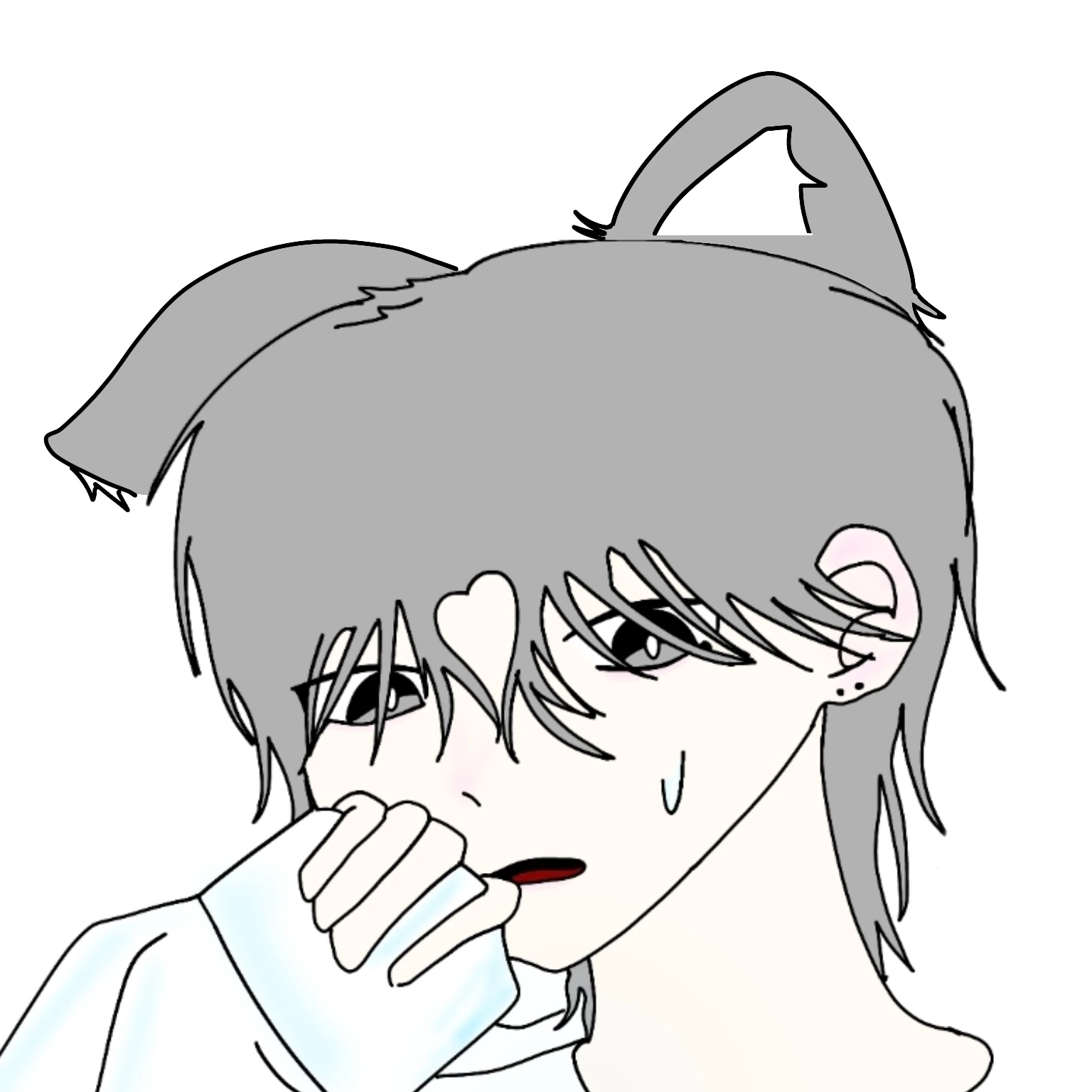 코이