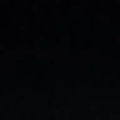 Profile image of ㅤㅤㅤㅤ