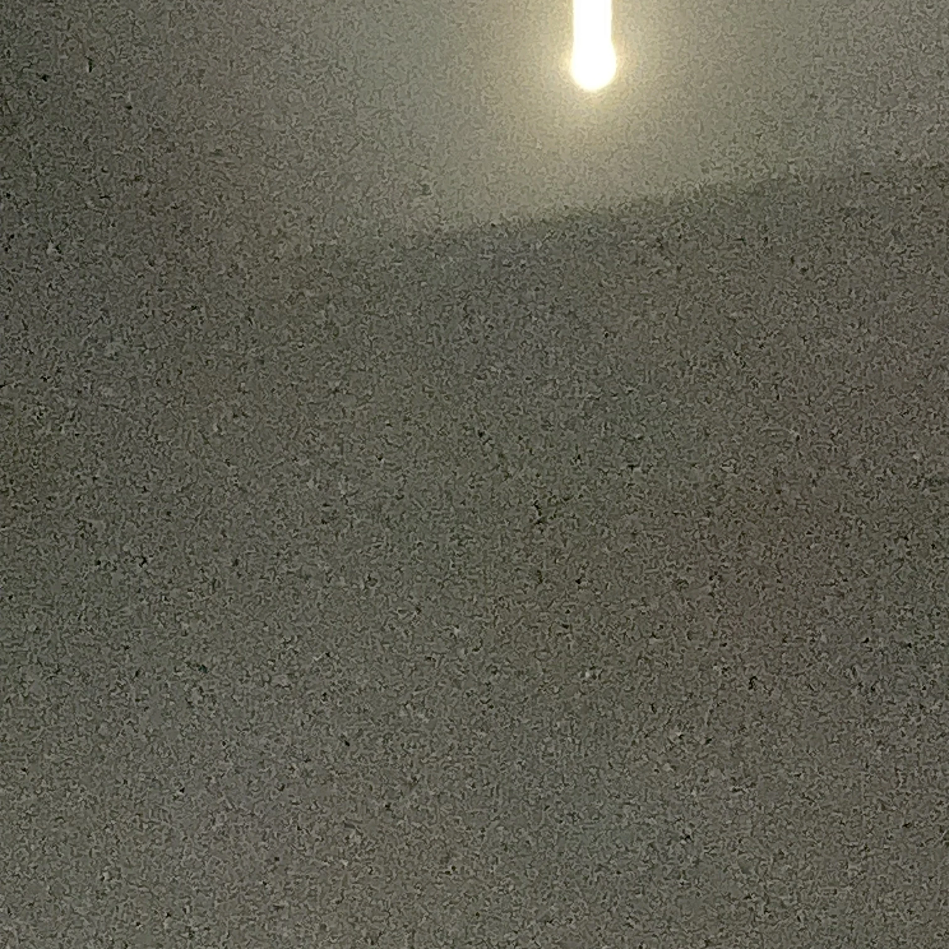 최승천