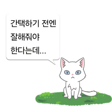 Profile image of 터키시 앙고라