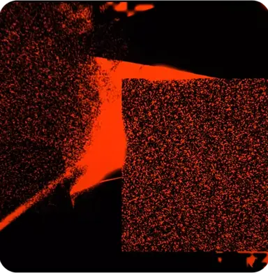 Profile image of 집행자