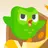 Profile image of 두오링고
