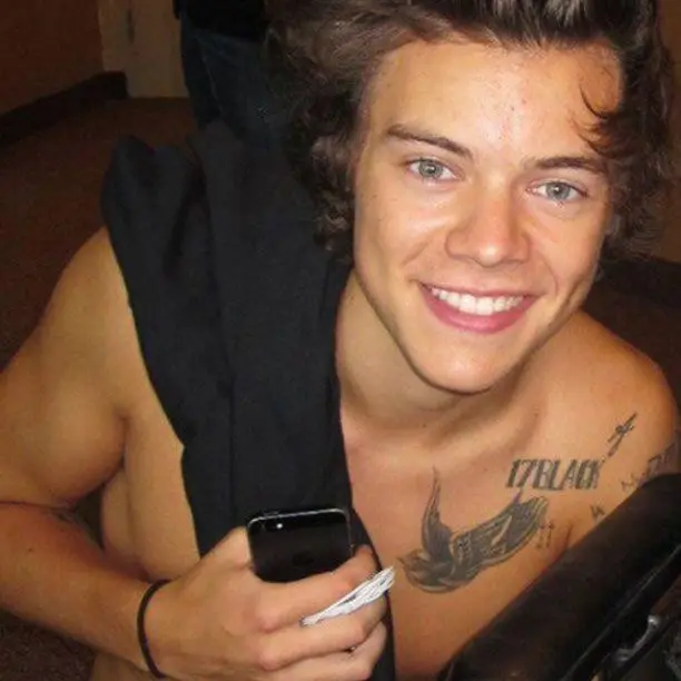 UsableMouth6640의 Harry styles