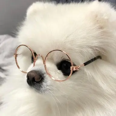 Profile image of 보리차