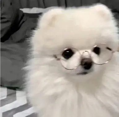 Profile image of 보리차