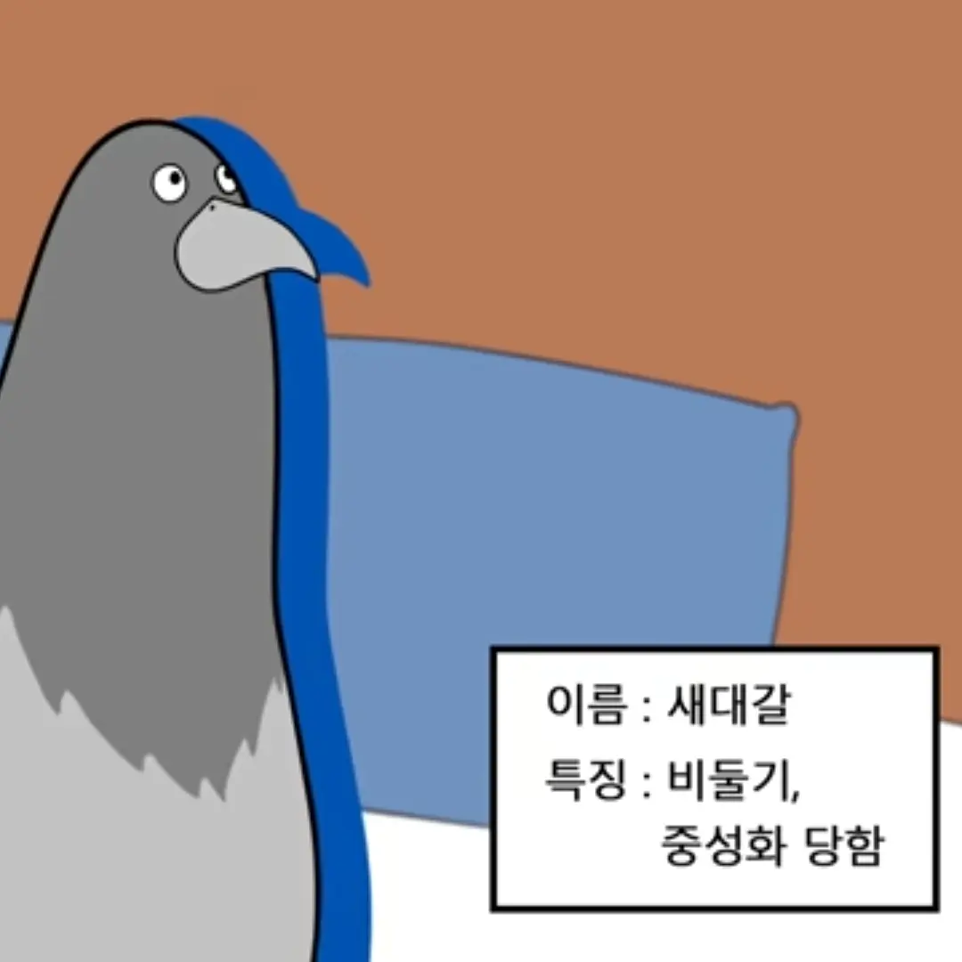 EthnicTired0949의 새대갈