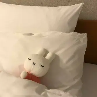 Profile image of 레니