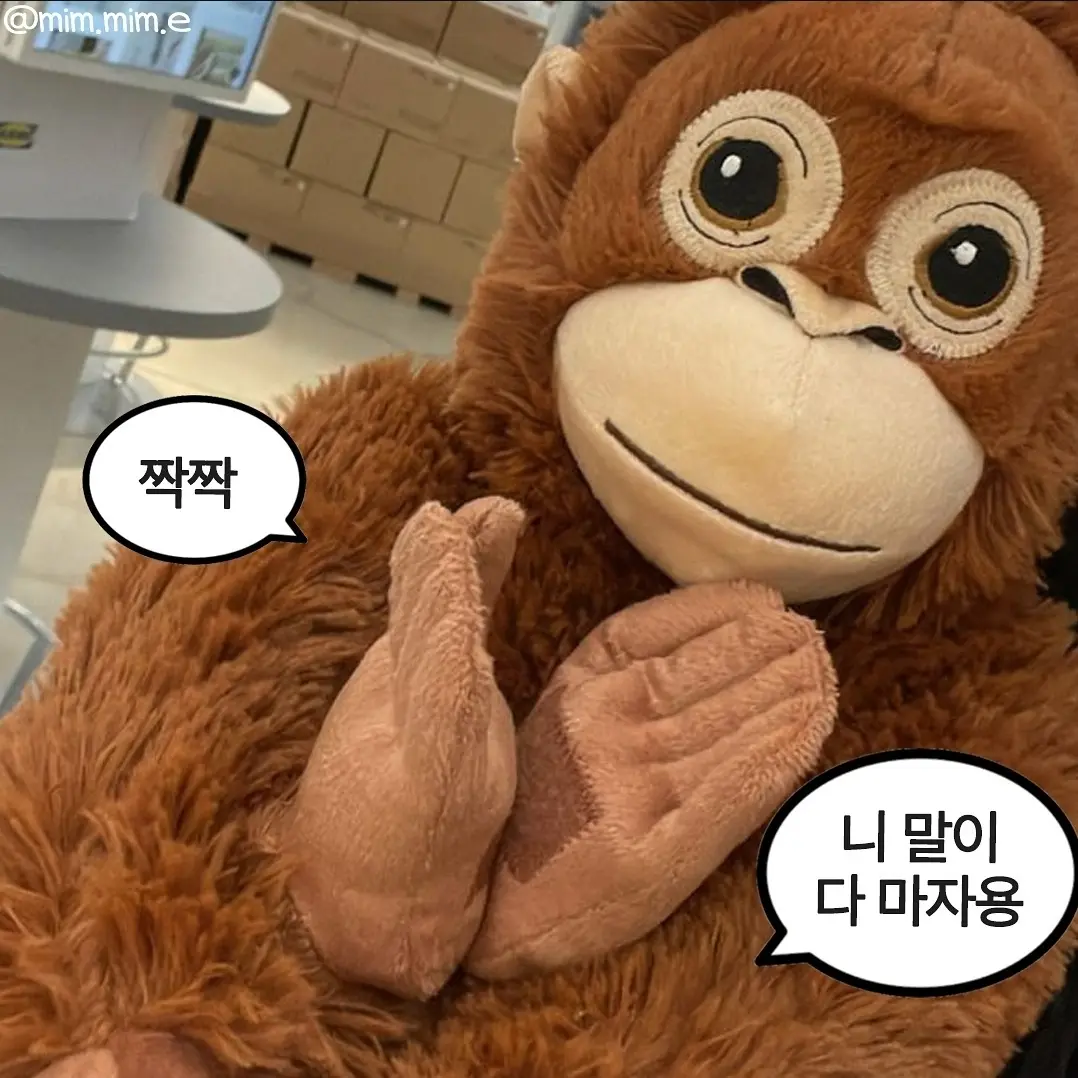 IndigoShelf5009의 여우참교육and존예롤살아남기