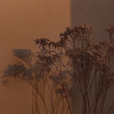 Profile image of 덕개