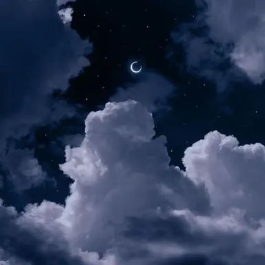 Profile image of 잠뜰