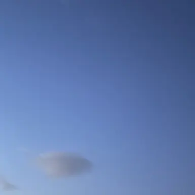 Profile image of 키리코