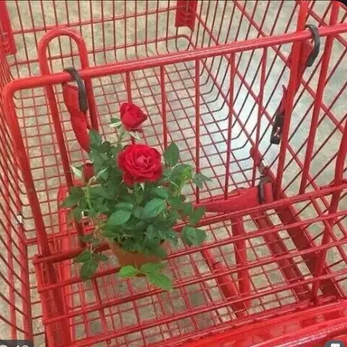 Profile image of 김철수