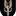 Sas